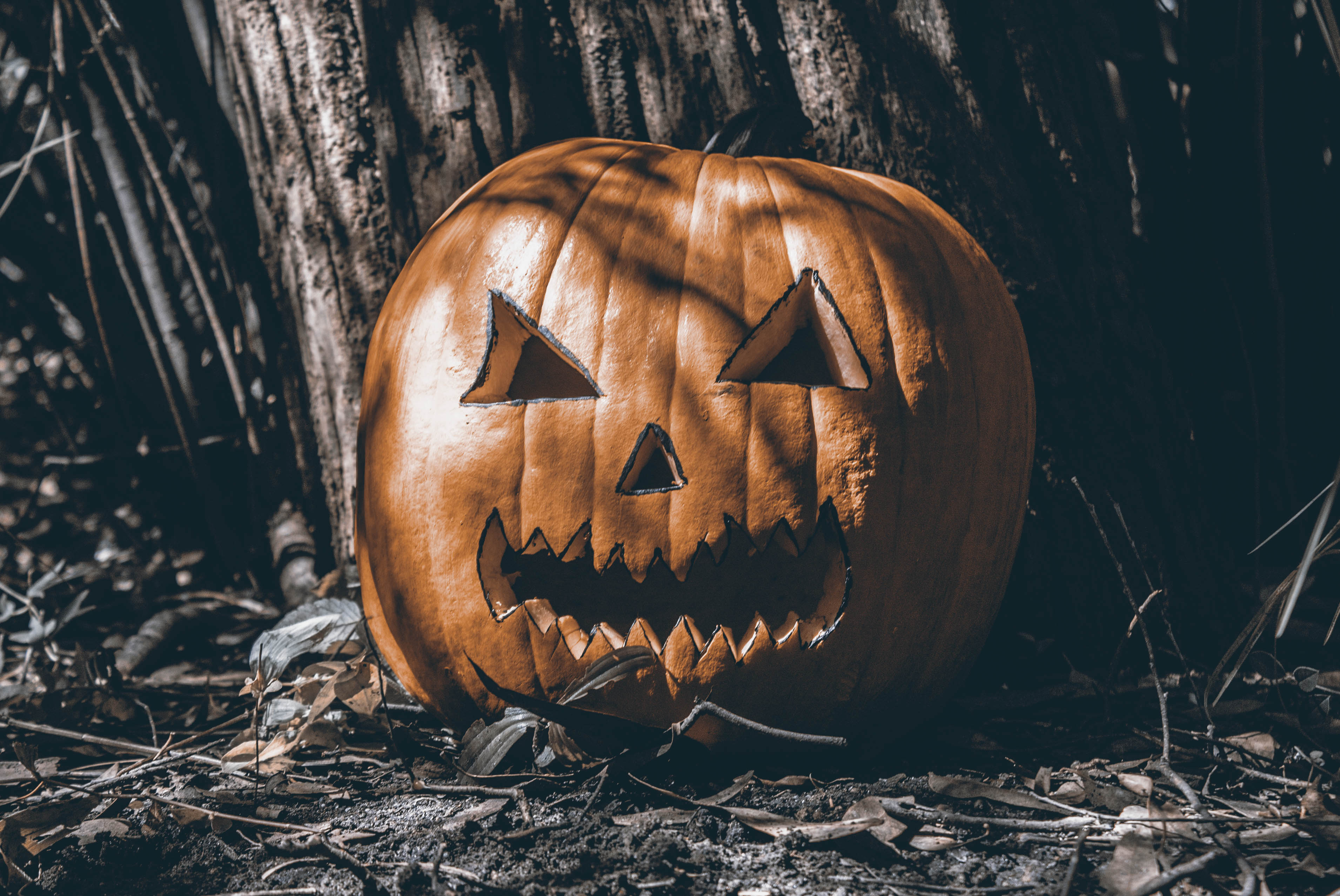 Close Up Shot Of A Halloween Pumpkin On The Ground · Free