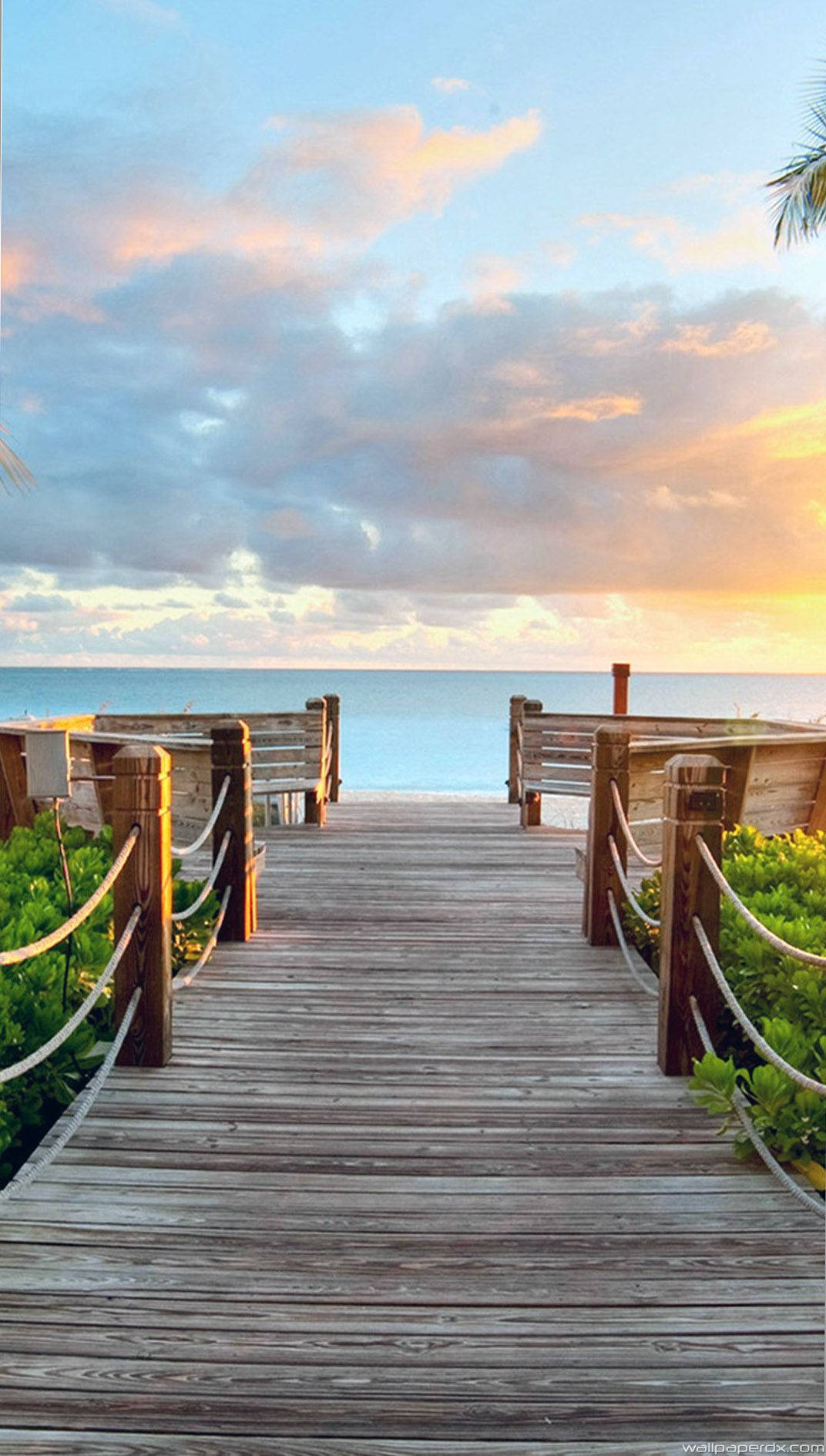 Download Bright iPhone Wallpaper