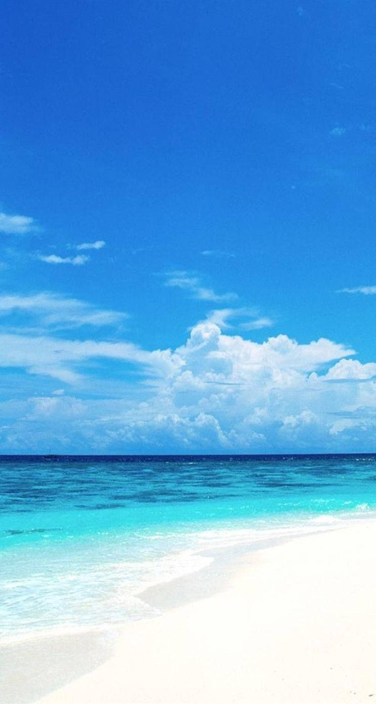 Bright iPhone Wallpaper