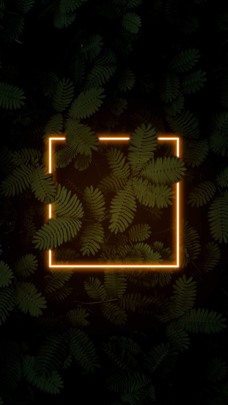 Neon Dark Nature iPhone Wallpaper