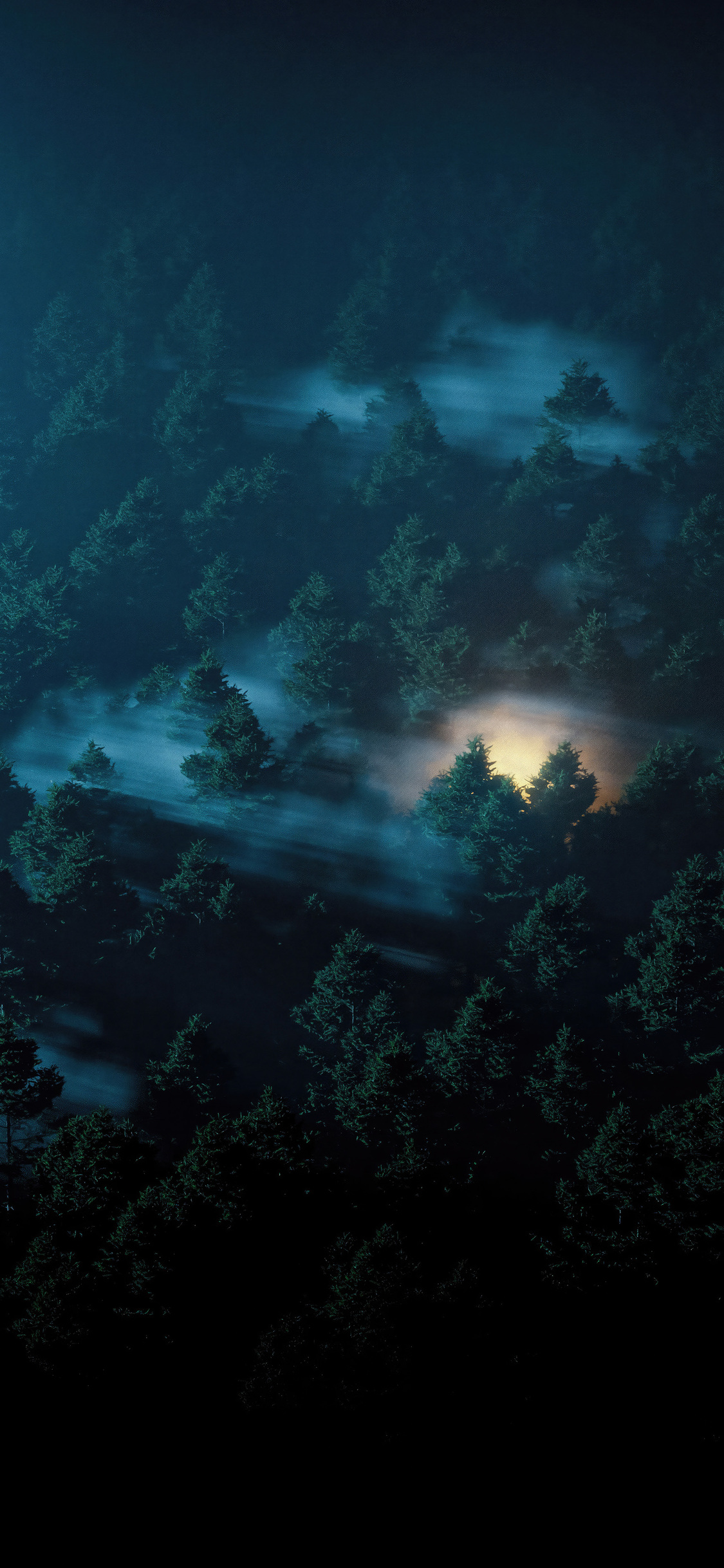 Enchanted Twilight In The Dark Forest iPhone XS, iPhone 10, iPhone X HD 4k Wallpaper, Image, Background, Photo and Picture