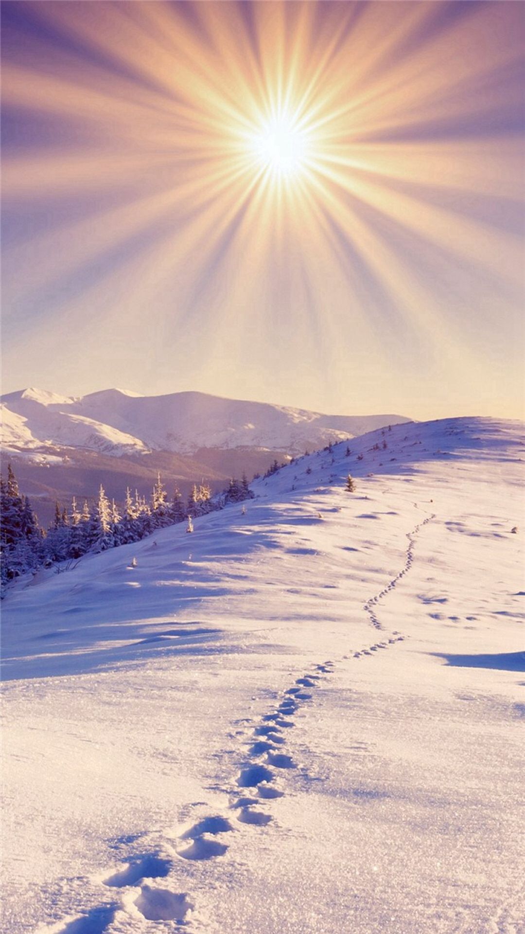 Nature Sunshine Bright Snowy Footprint Field iPhone 6 Wallpaper Download. iPhone Wallpaper, iPad wallpaper. Sunshine wallpaper, Snowy field, iPhone 5s wallpaper