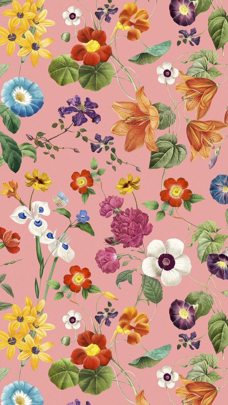 Spring Flowers Image. Free HD