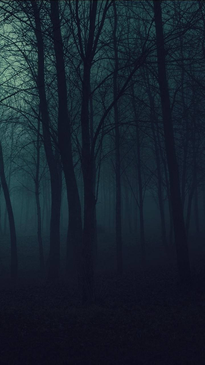 Download Dark Phone Eerie Woods Wallpaper