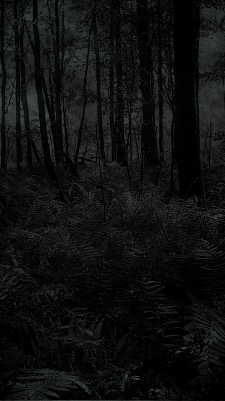 Mobile wallpaper: Dark, Forest, 1210028