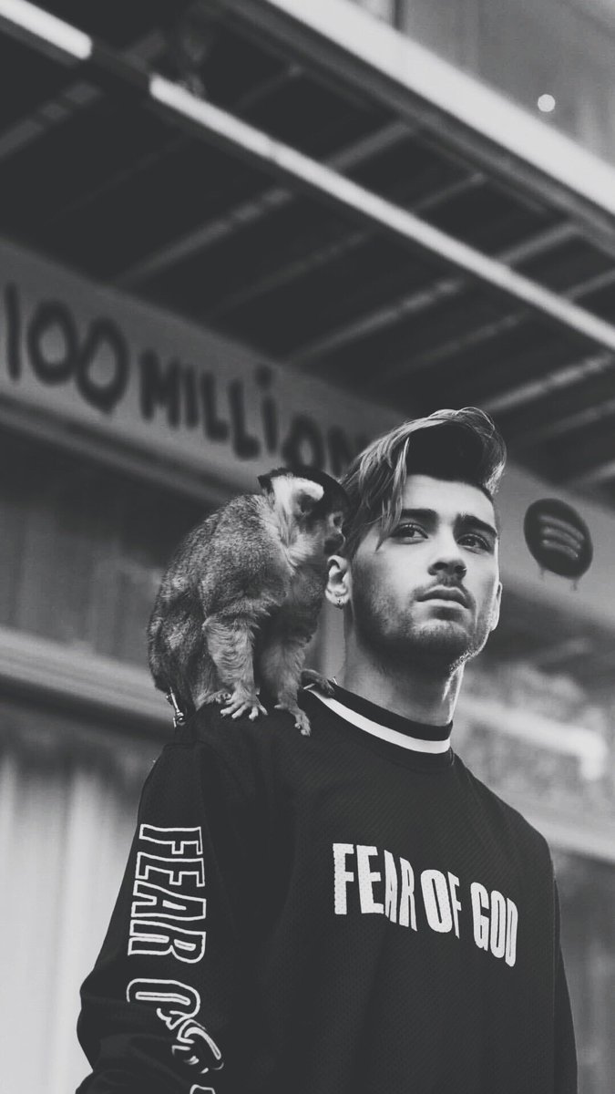 Free download Free download Johnny Sins on Zayn Malik Wallpaper [675x1200] for your Desktop, Mobile & Tablet. Explore Zayn Malik iPhone Wallpaper. Zayn Malik Wallpaper for Desktop, Zayn Wallpaper