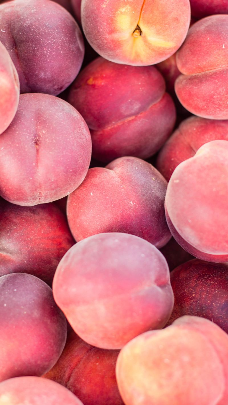Download Wallpaper 800x1420 Peaches, Fruit, Red, Ripe Iphone Se 5s 5c 5 For Parallax HD Background
