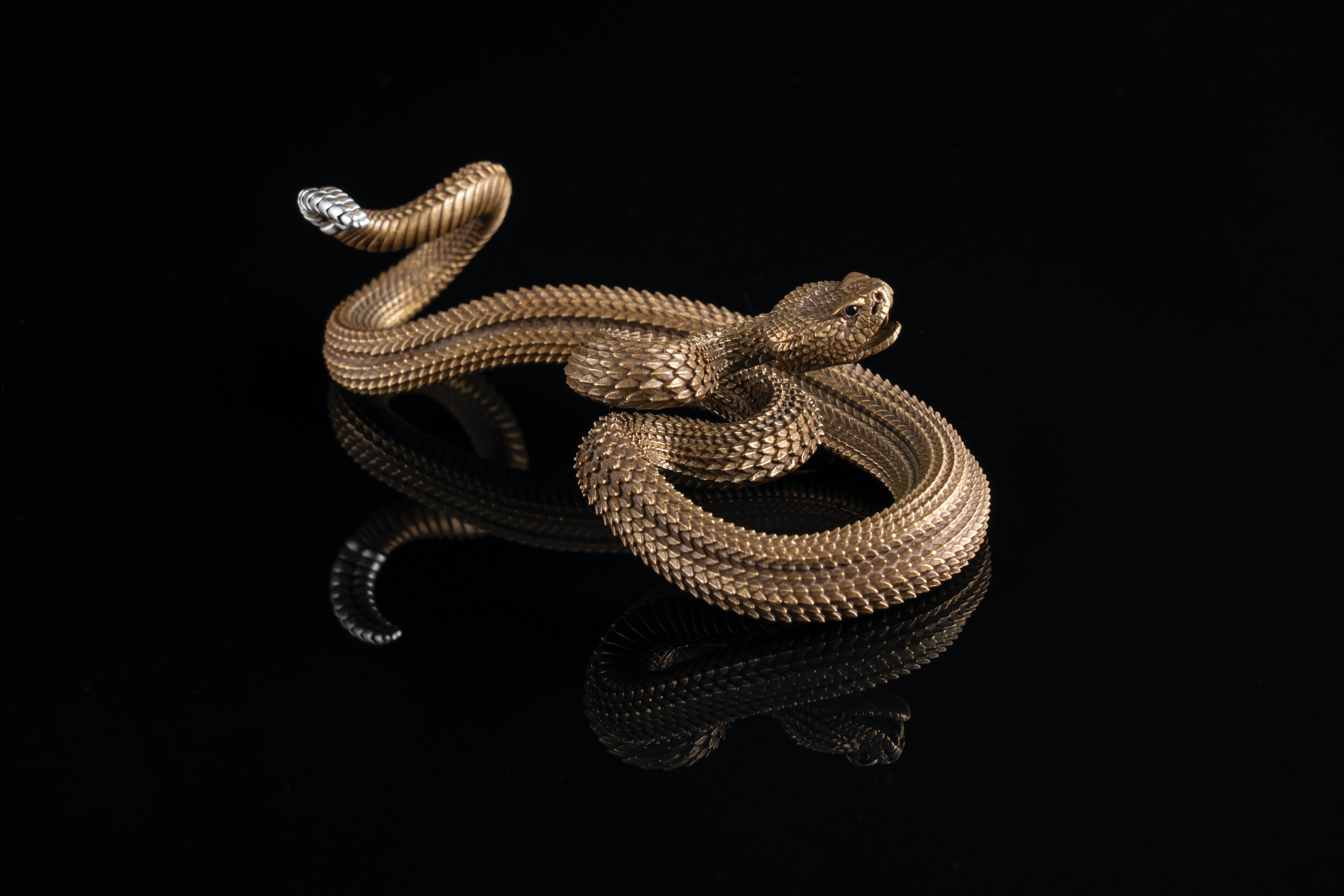 Decorative Snake on Black Background · Free