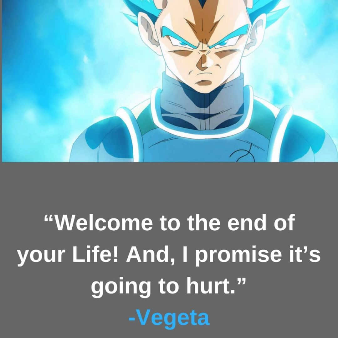 Vegeta Quotes Wallpaper