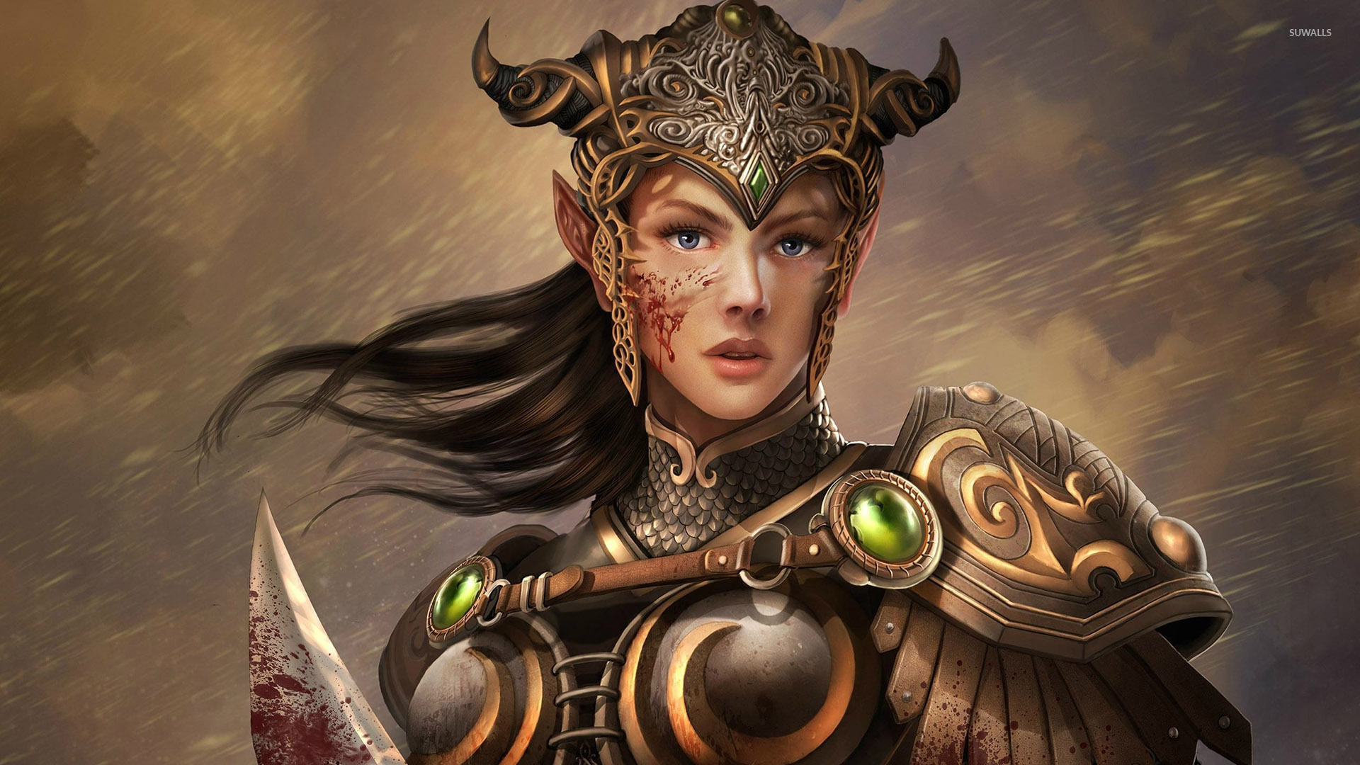 Elf warrior wallpaper wallpaper