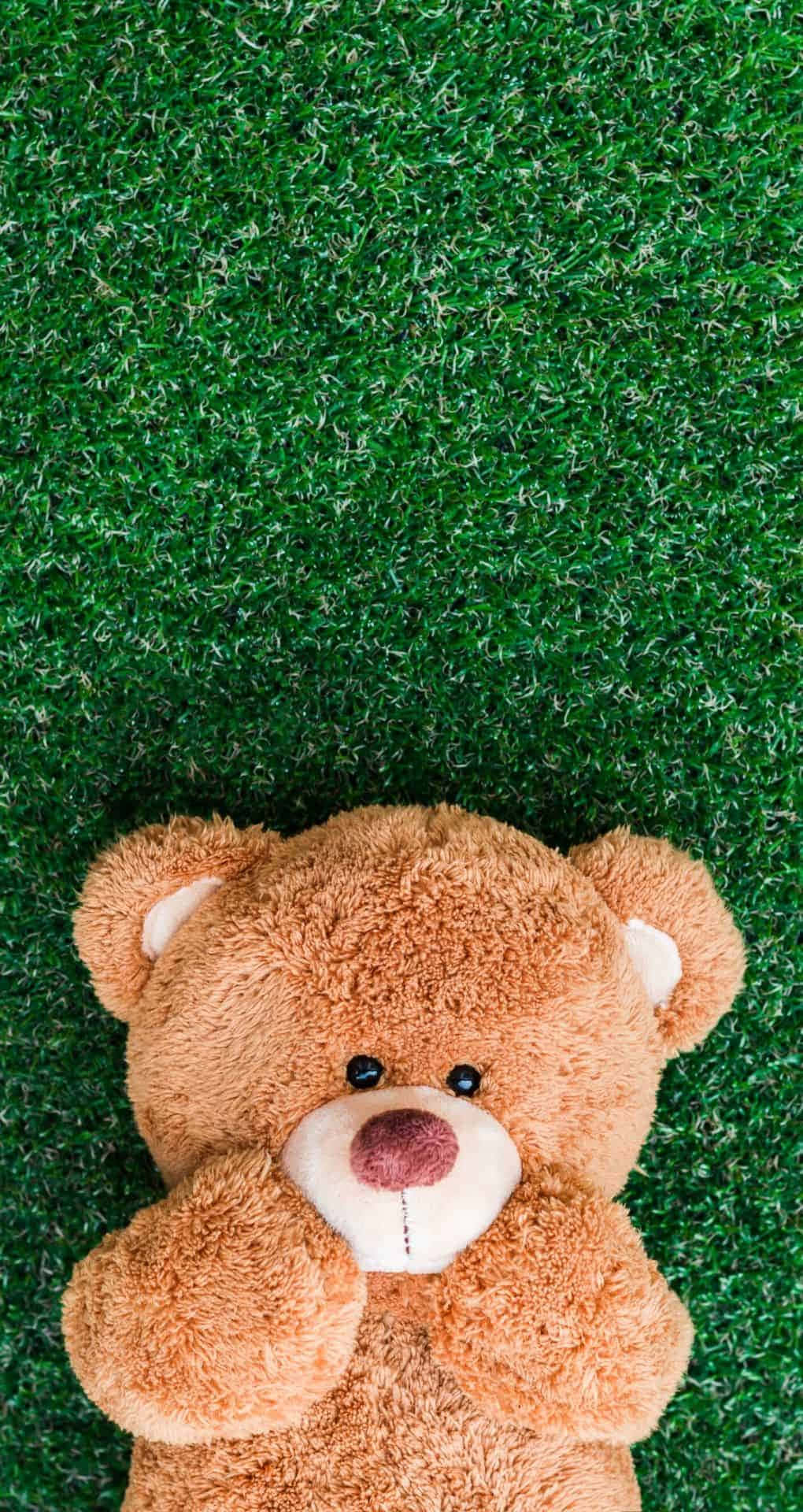 Download A Teddy Bear Laying On A Green Grass Wallpaper