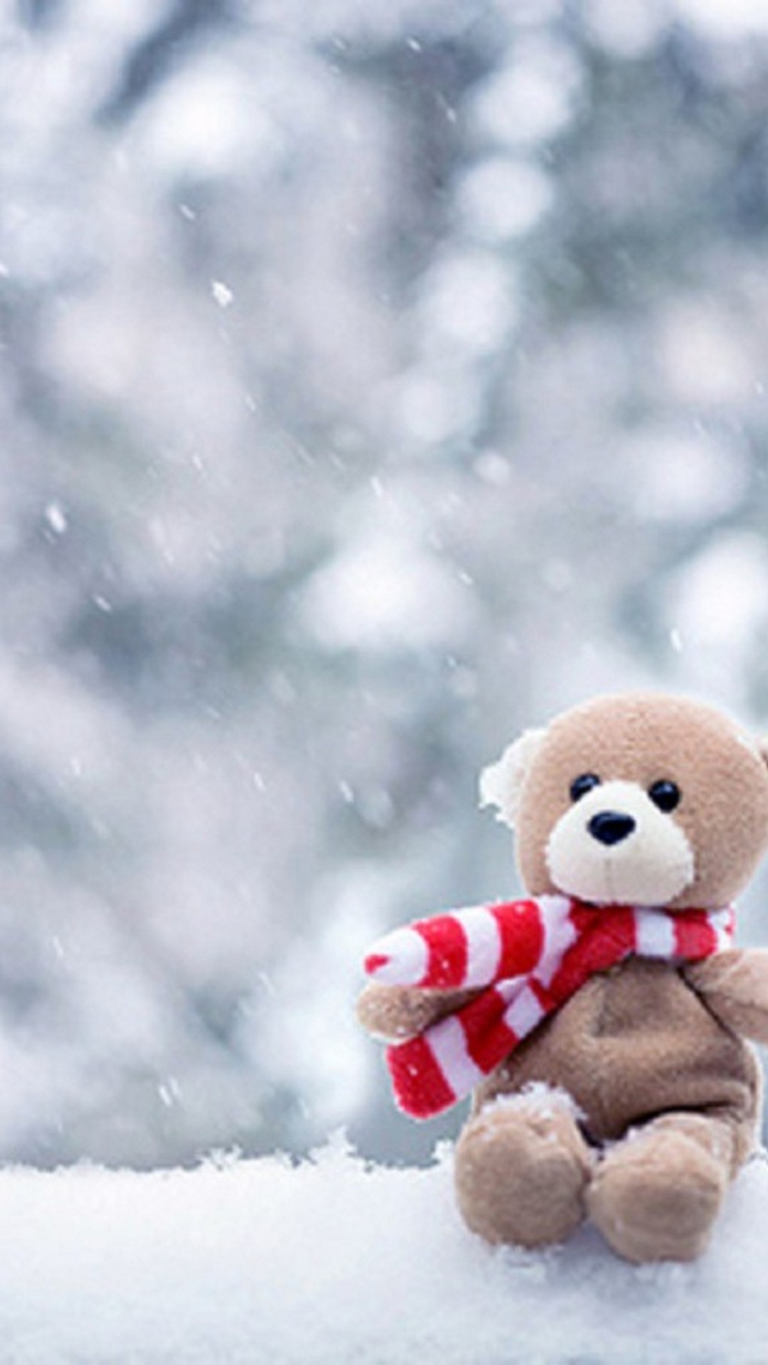 Cute Teddy Bear Photo HD Shop, SAVE 53%