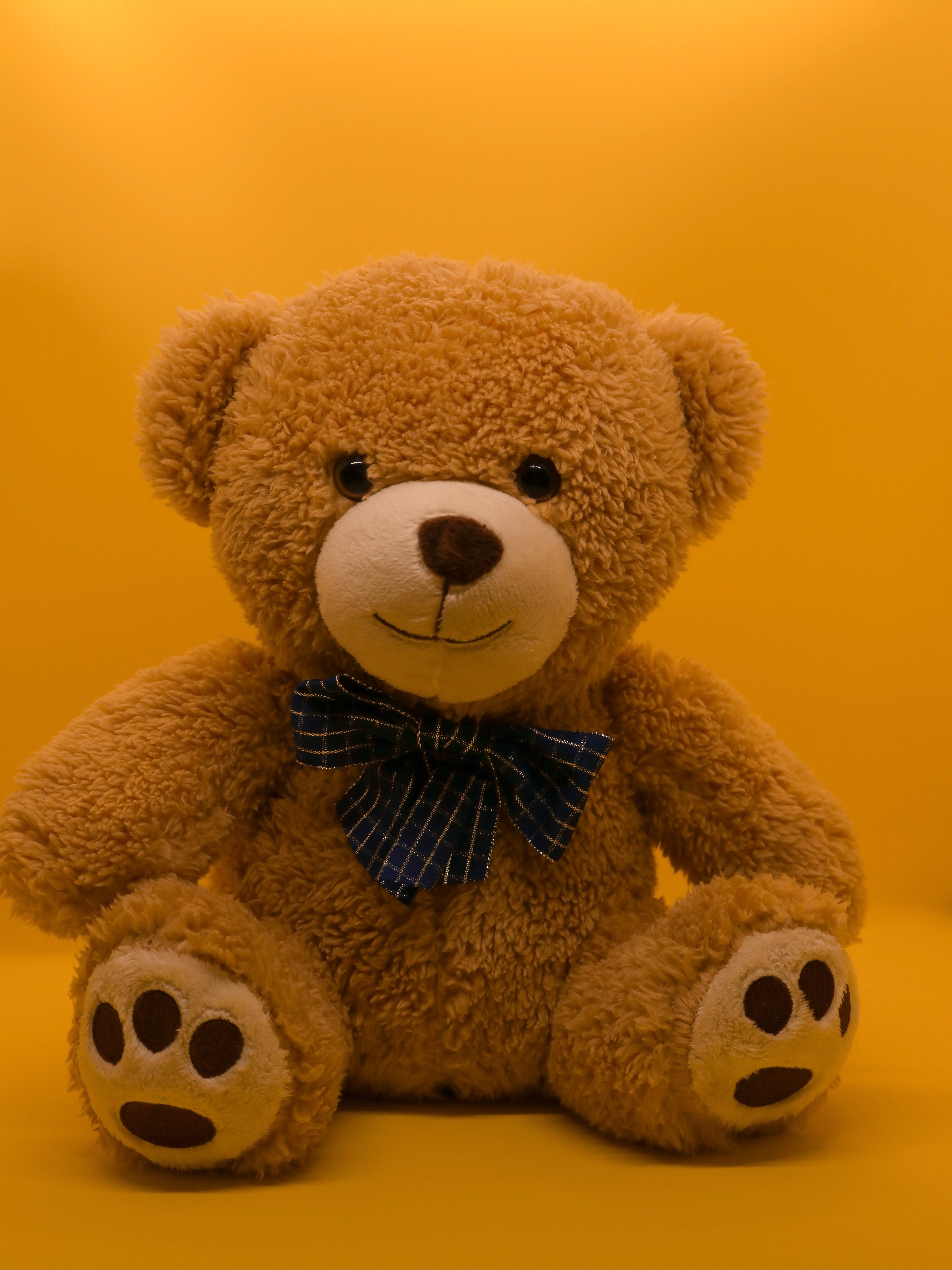 Big teddy bear Wallpaper Download