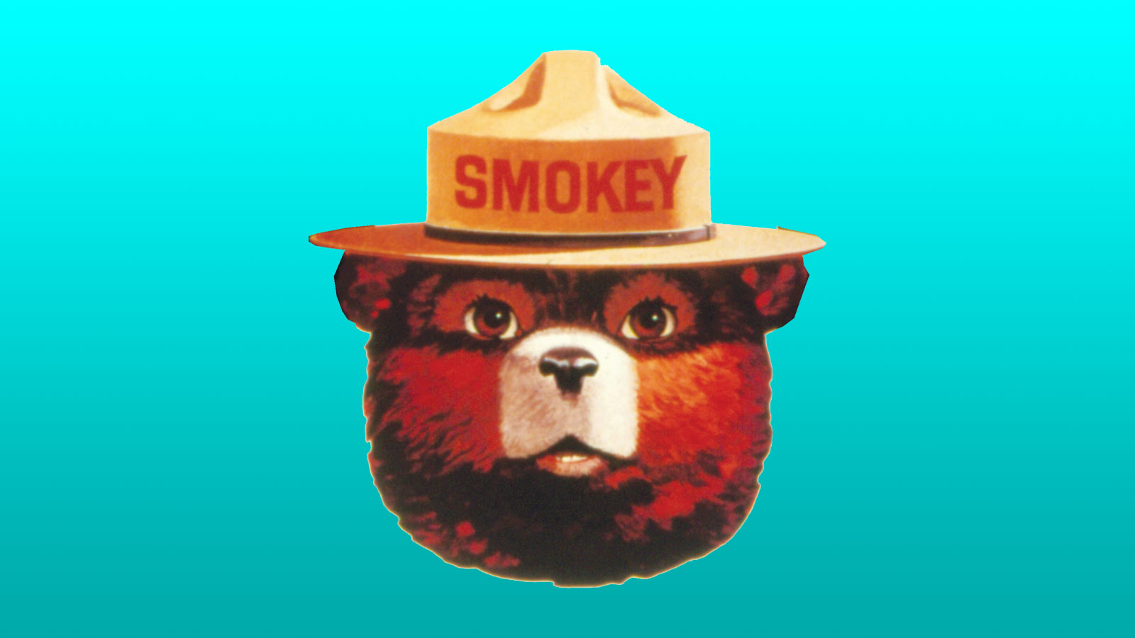 Smokey Bear Turns 74! Look Back at the Icon's Historic Print Ads