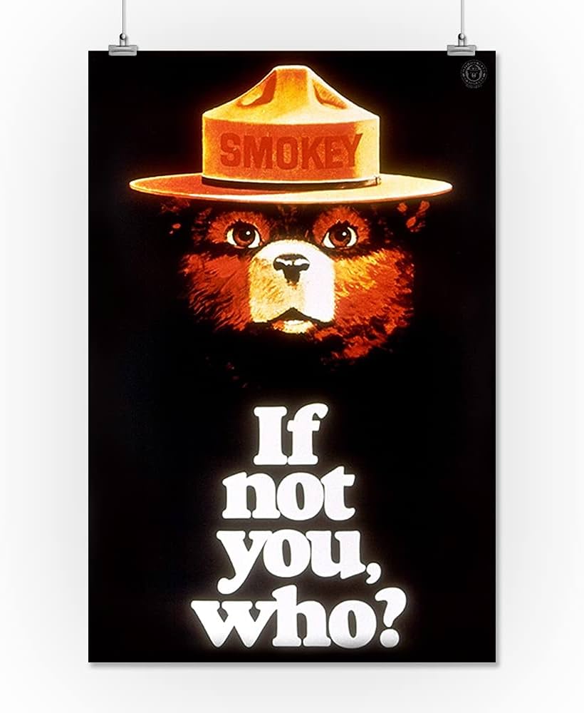 Smokey Bear, If Not You, Who, Vintage Poster (16x24 Giclee Gallery Art Print, Vivid Textured Wall Decor): Posters & Prints