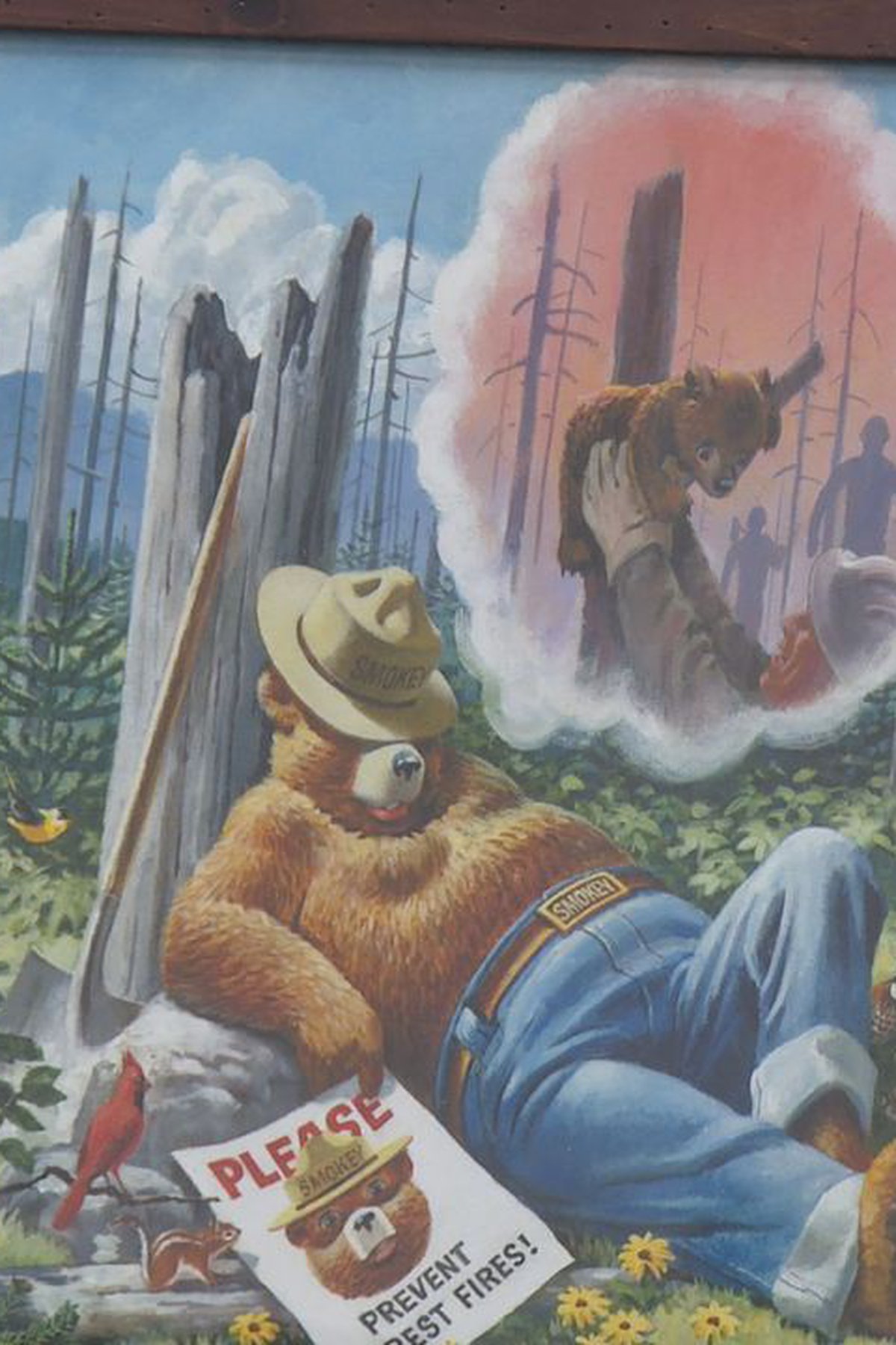 Black Hills National Forest has historic art work on display of Smokey Bear