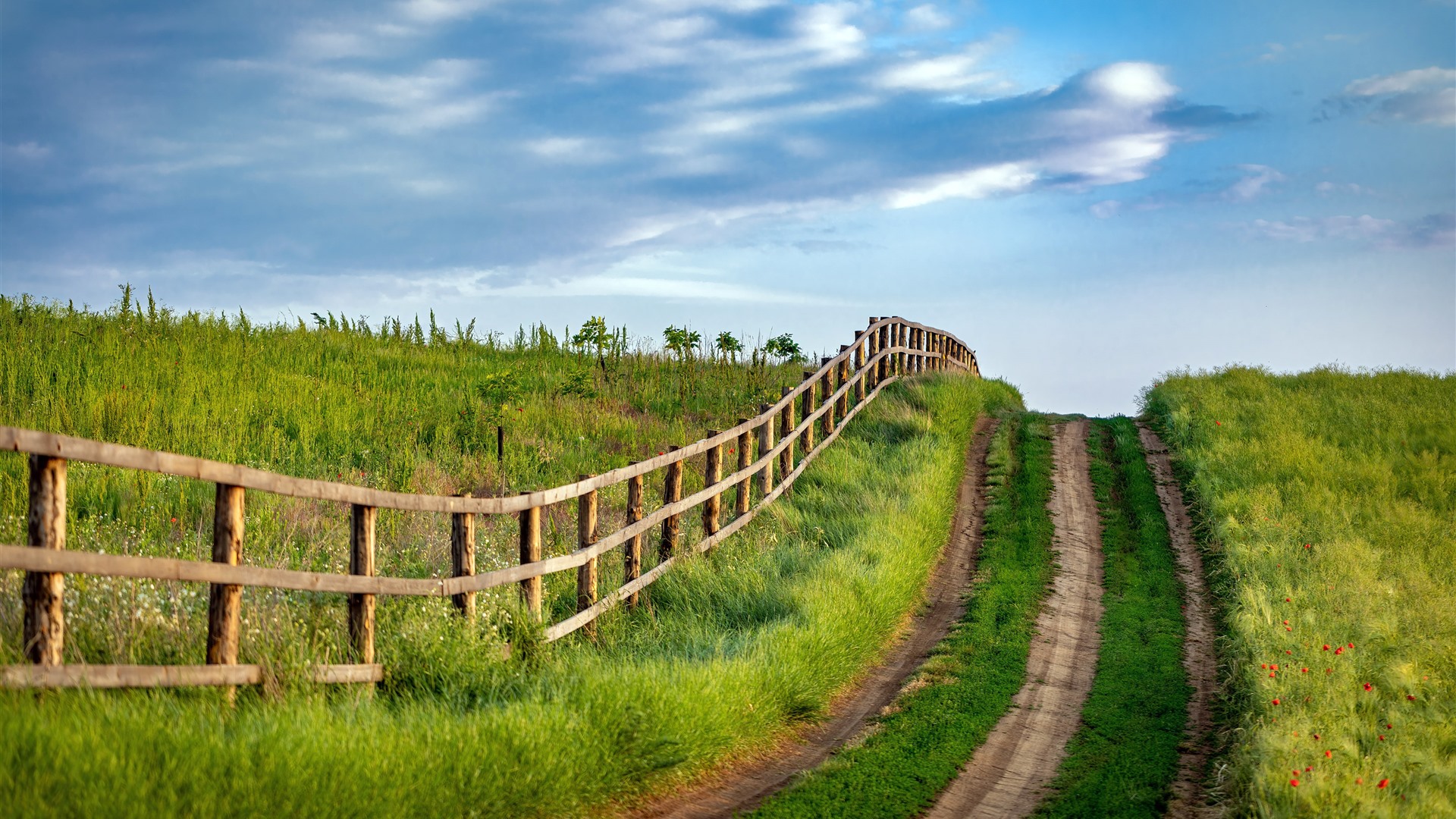 USA Countryside Grass Road Nature Landscape