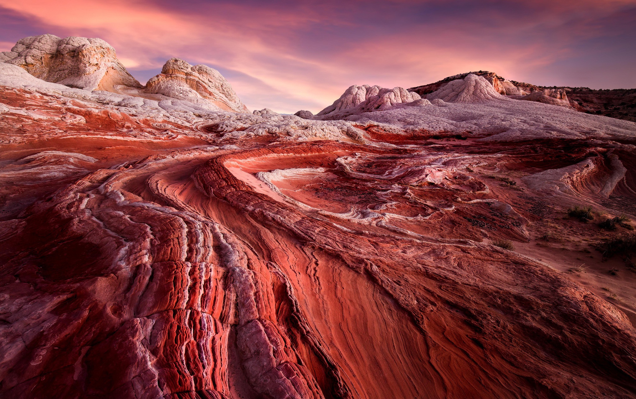 Arizona Beautiful USA Landscape, HD Nature, 4k Wallpaper, Image, Background, Photo and Picture