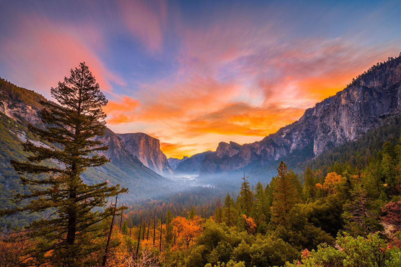 Desktop Wallpaper Yosemite California USA Fog Nature Autumn