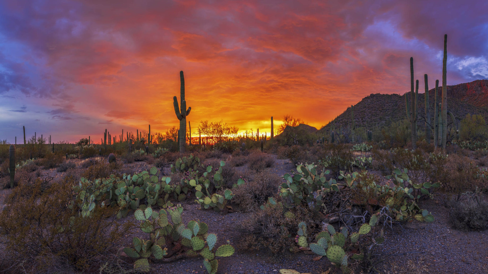Sunset Beautiful Landscape Pima County County In Arizona Usa