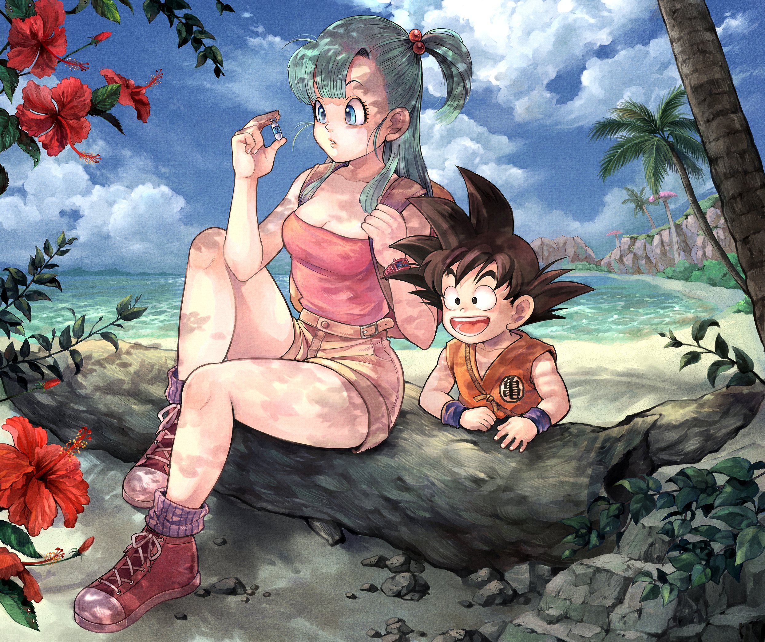 Bulma dragonball son goku wallpaperx2089