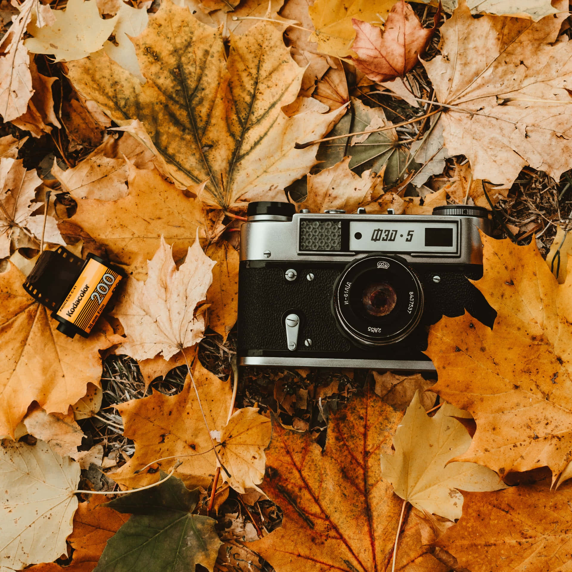 Vintage Autumn Wallpaper