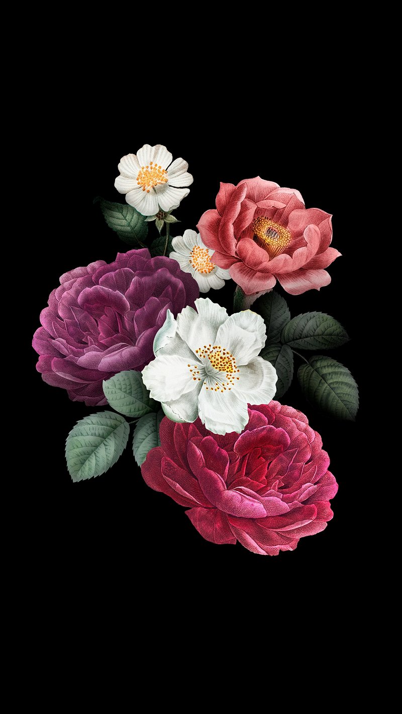 Rose Wallpaper Phone Wallpaper