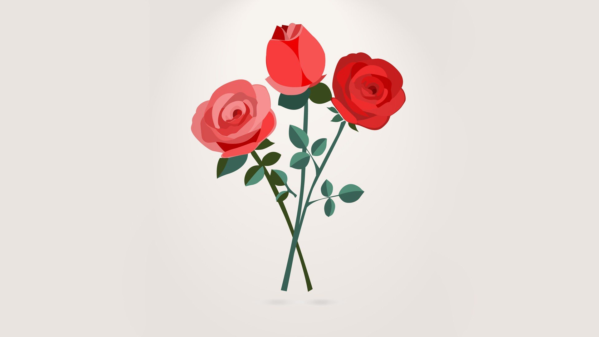 Wallpaper, 1920x1080 px, rose, simple background, vector 1920x1080