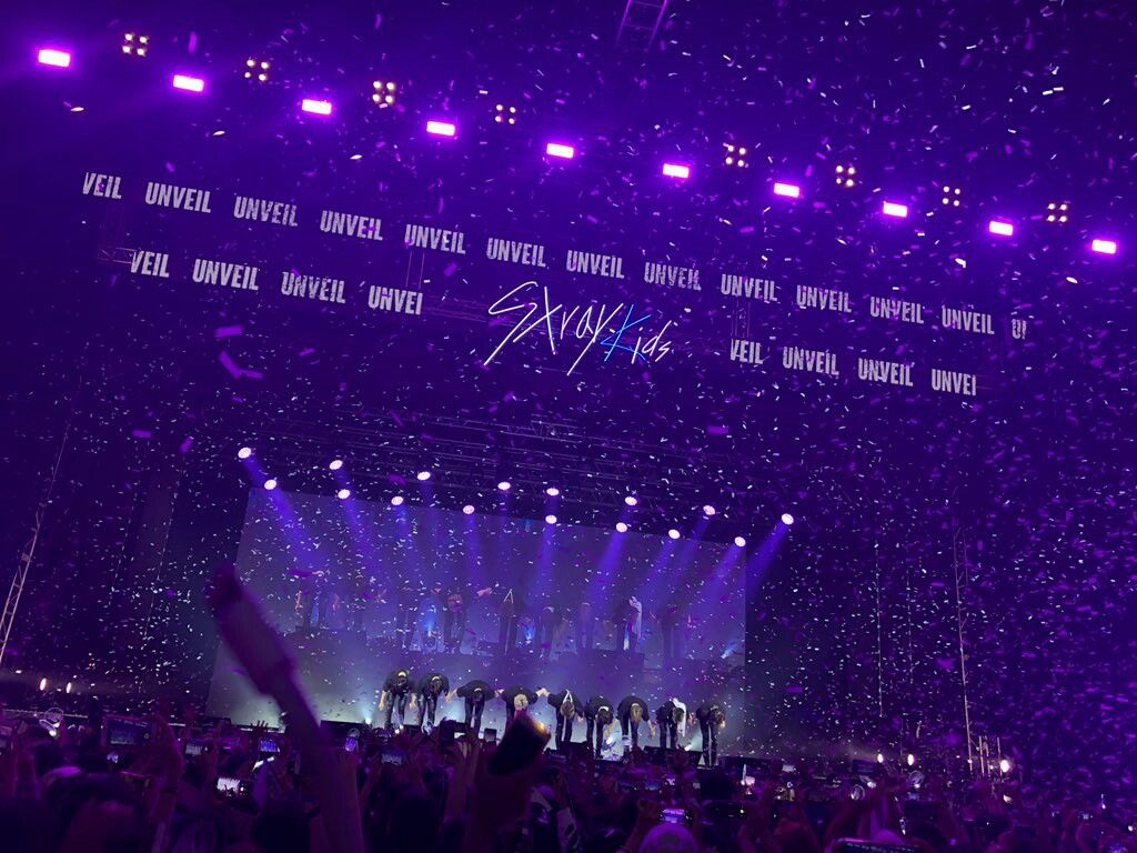 StrayKids panosundaki Pin