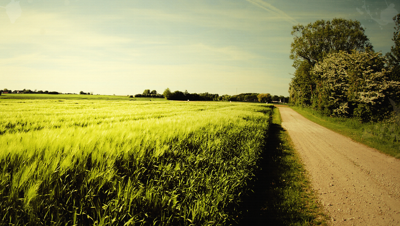 Download Country wallpaper for mobile phone, free Country HD picture