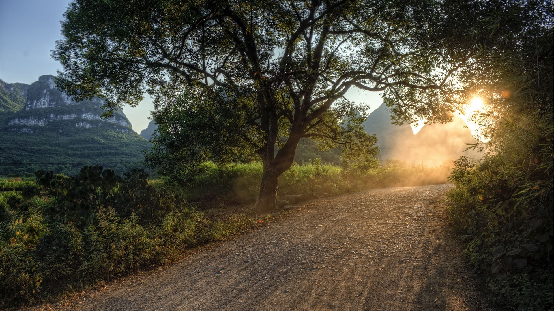 Download wallpaper 1920x1080 road, light, way, sun, trees, morning, dawn, awakening, country full hd, hdtv, fhd, 1080p HD background