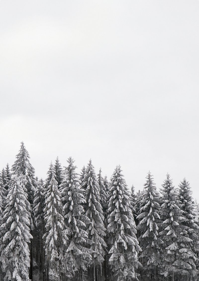 Snow background landscape christmas. AI. Free Photo Illustration