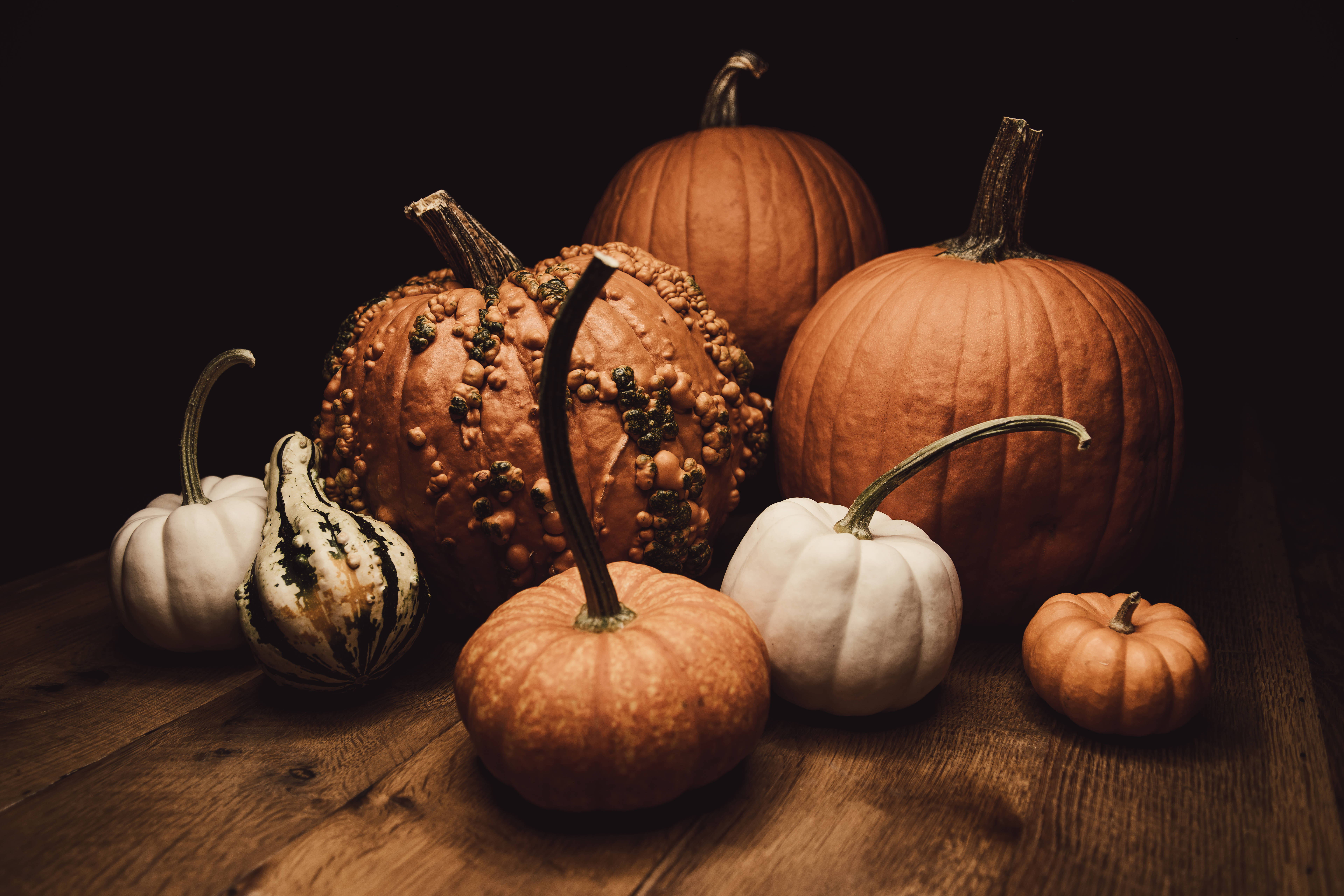 Aesthetic october pumpkin Wallpaper Download
