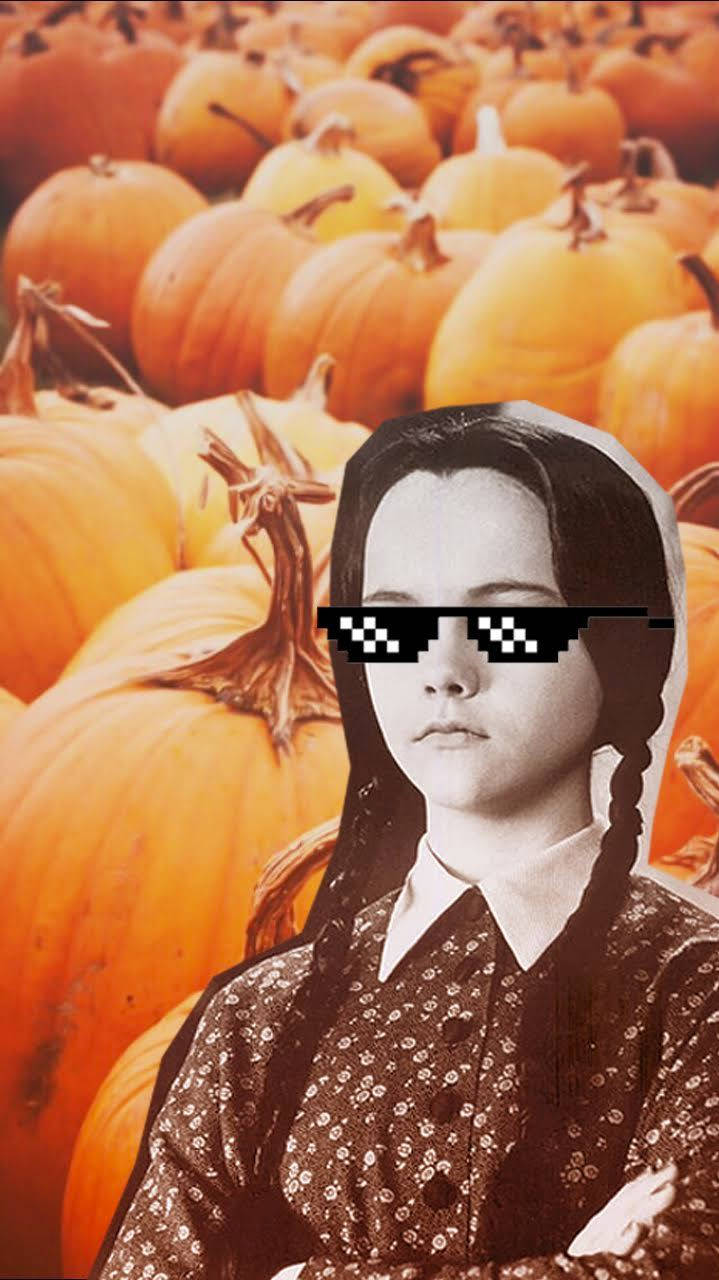 Download The Addams Family Wednesday Pumpkin Wallpaper