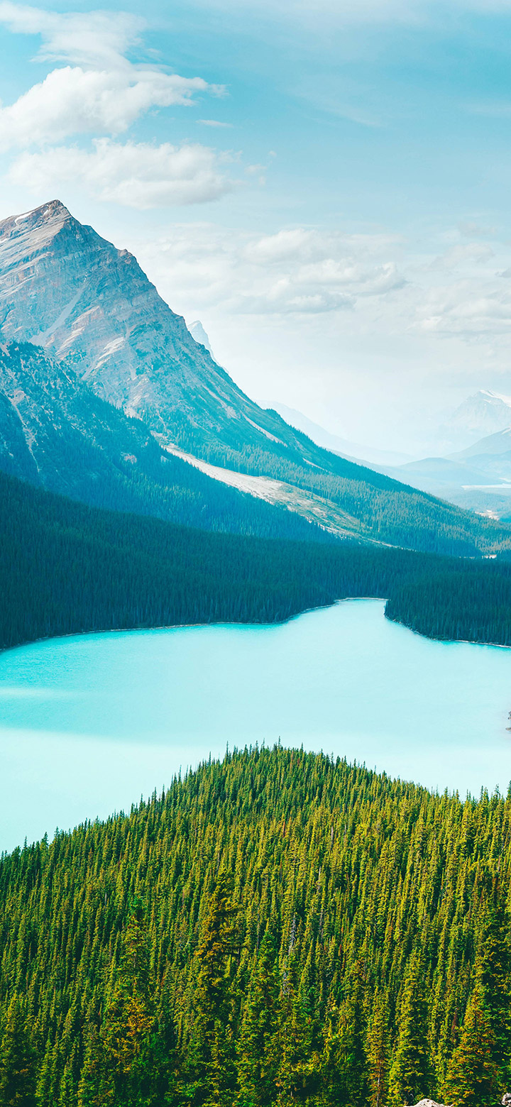 Beautiful Lake Surrounded By Green Trees 4K Phone Wallpaper