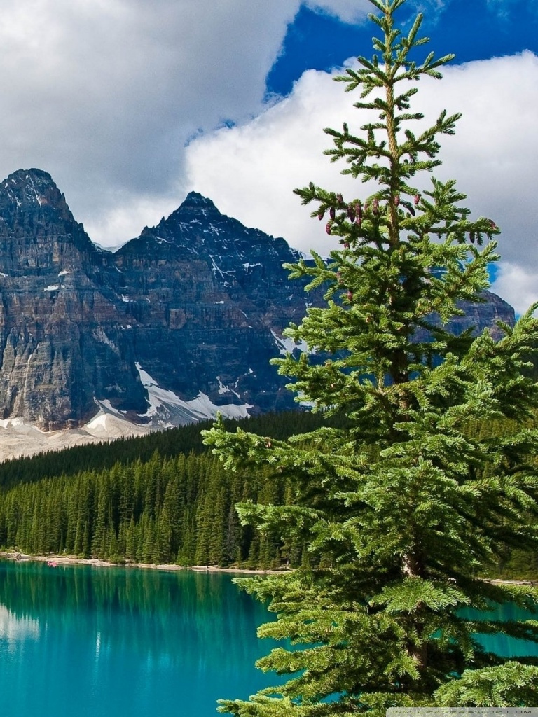 Emerald Lake, Yoho National Park, British Columbia, Canada Ultra HD Desktop Background Wallpaper for 4K UHD TV, Tablet