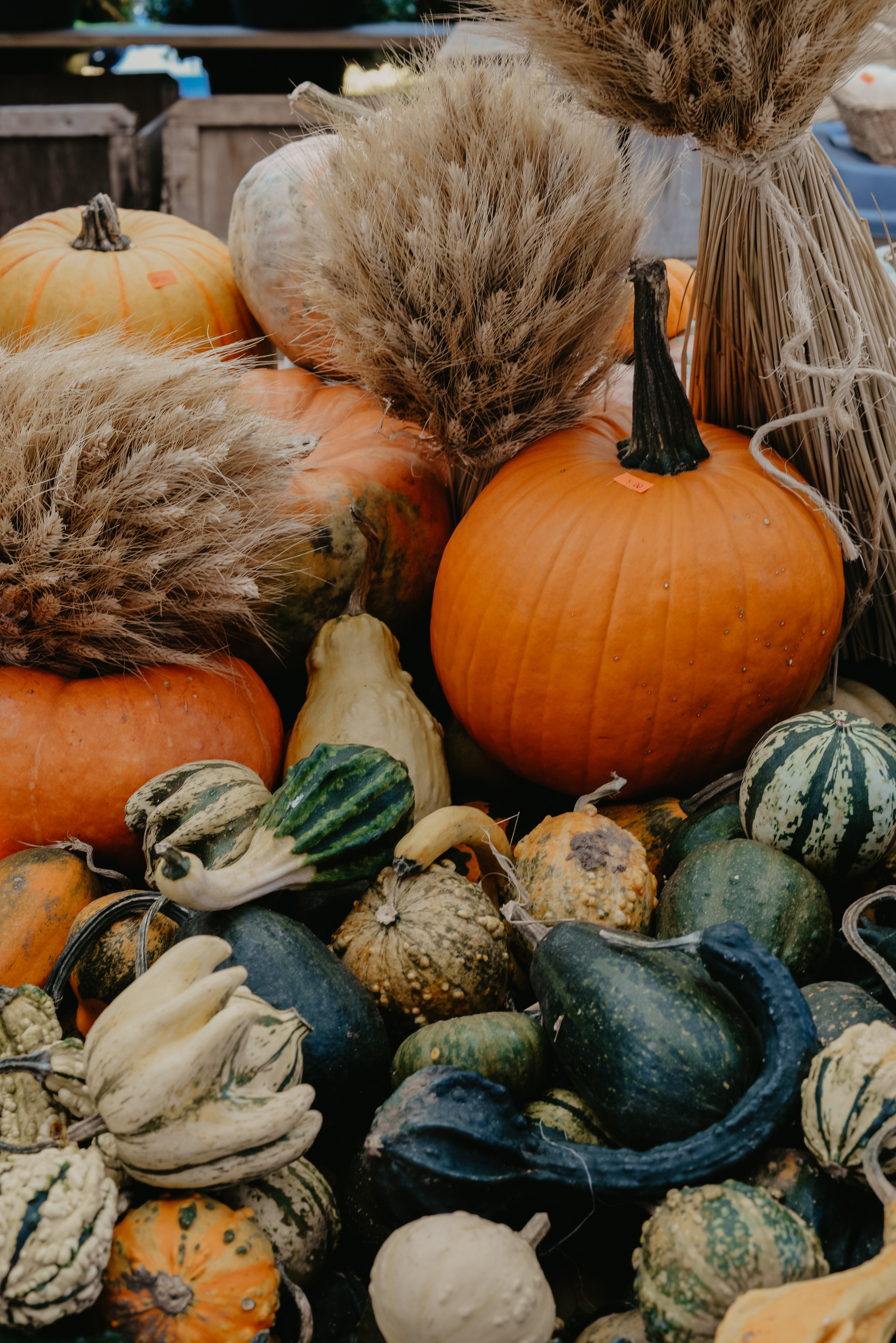 High Res Autumn Harvest Pile Picture