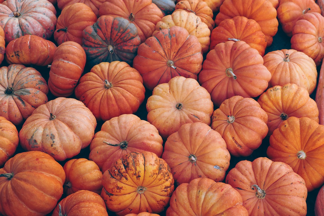 Pumpkin Halloween Fall