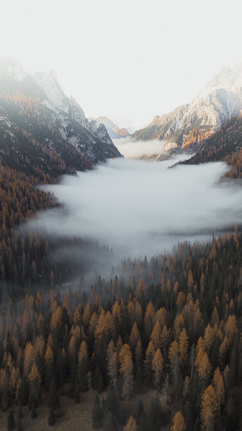 Autumn iPhone Wallpaper. Download High Resolution Mobile Phone Background