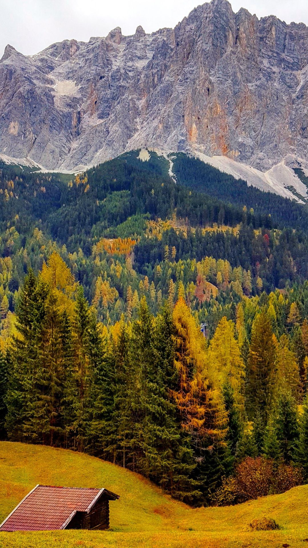 Pumpkin Love Phone Wallpaper by smileyioana.com