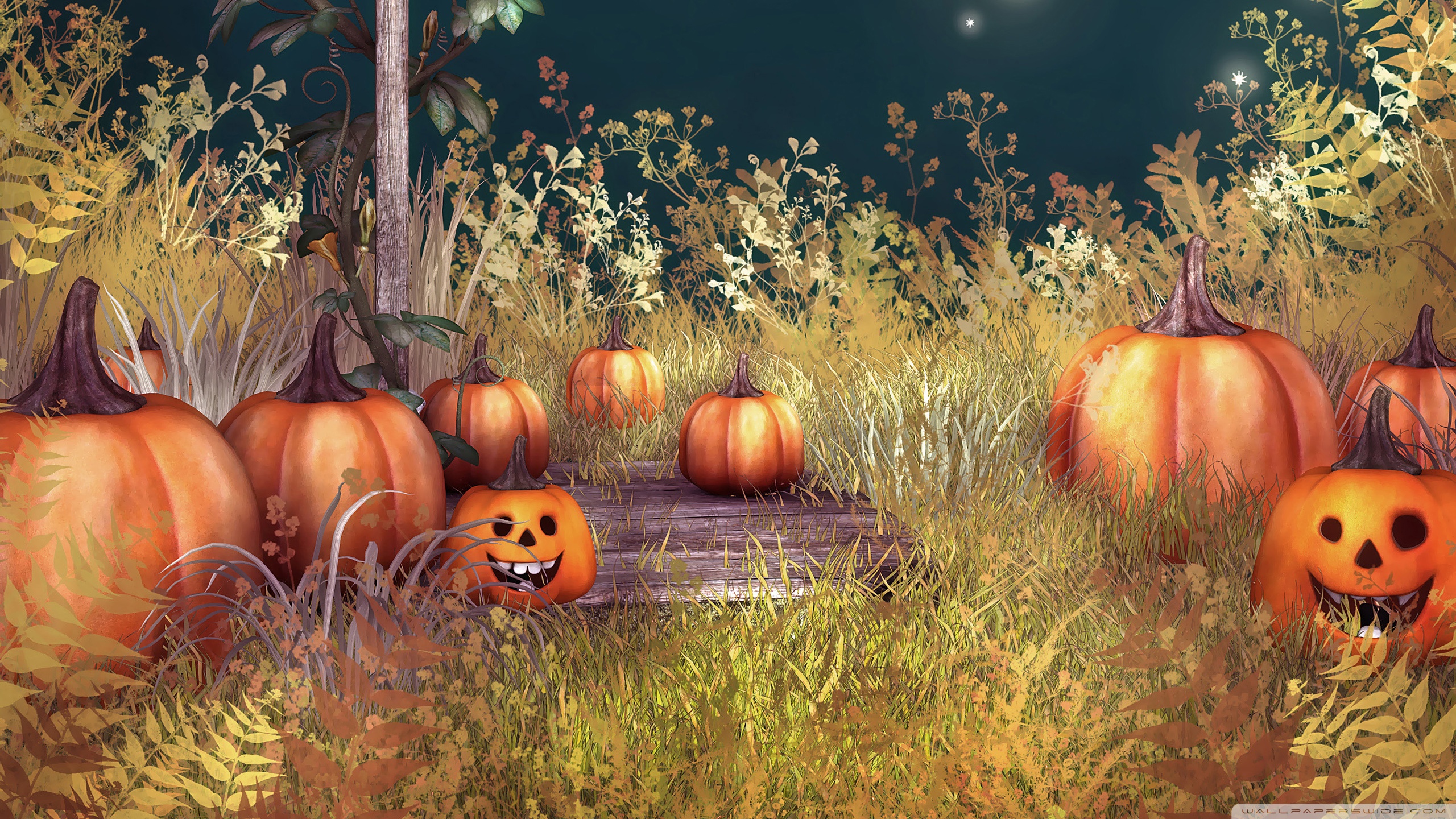 Halloween Pumpkins Ultra HD Desktop Background Wallpaper for 4K UHD TV, Multi Display, Dual Monitor, Tablet