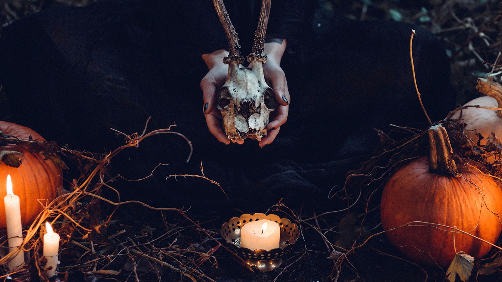 wallpaper for desktop, laptop. halloween pumpkin skull dark nature