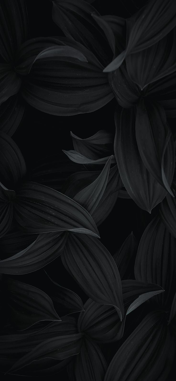 Minimalist Black ideas. black wallpaper, dark wallpaper, black aesthetic