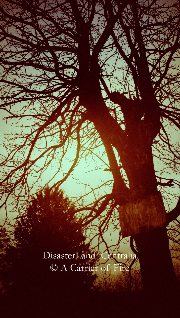 Centralia Mobile Wallpaper