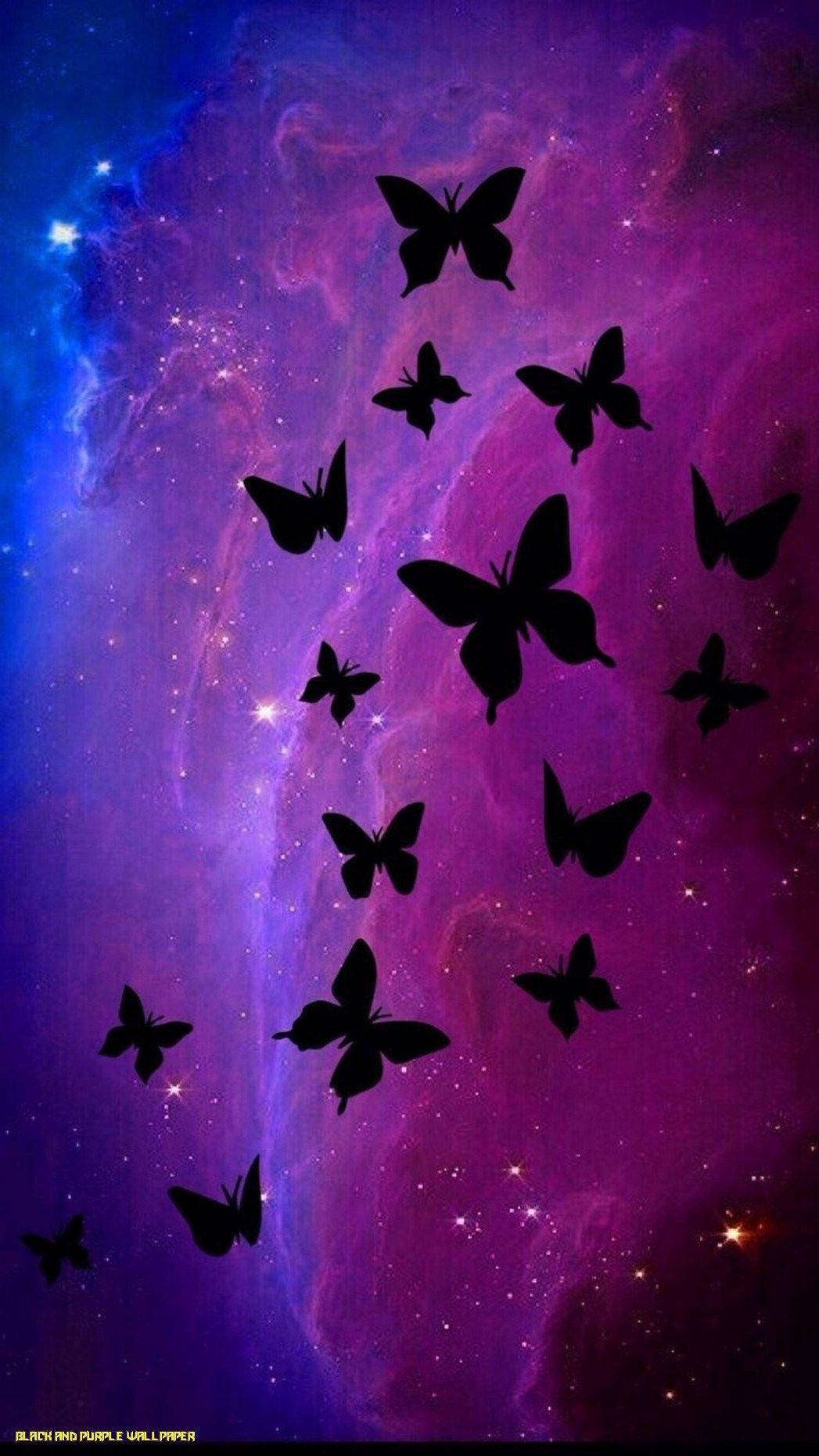 Download Purple Butterfly iPhone Background Wallpaper