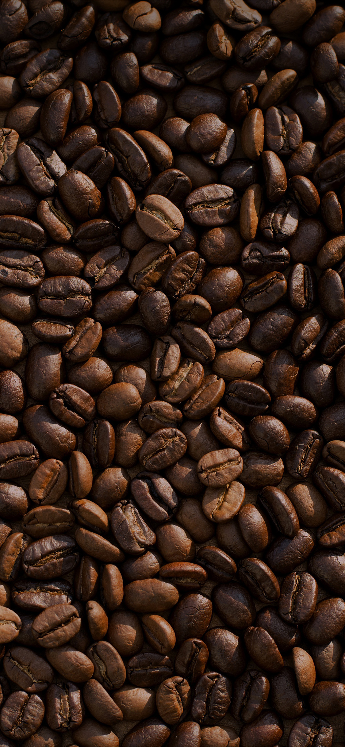 Coffee Food Brown Eat Nature Drink Life Wallpaper