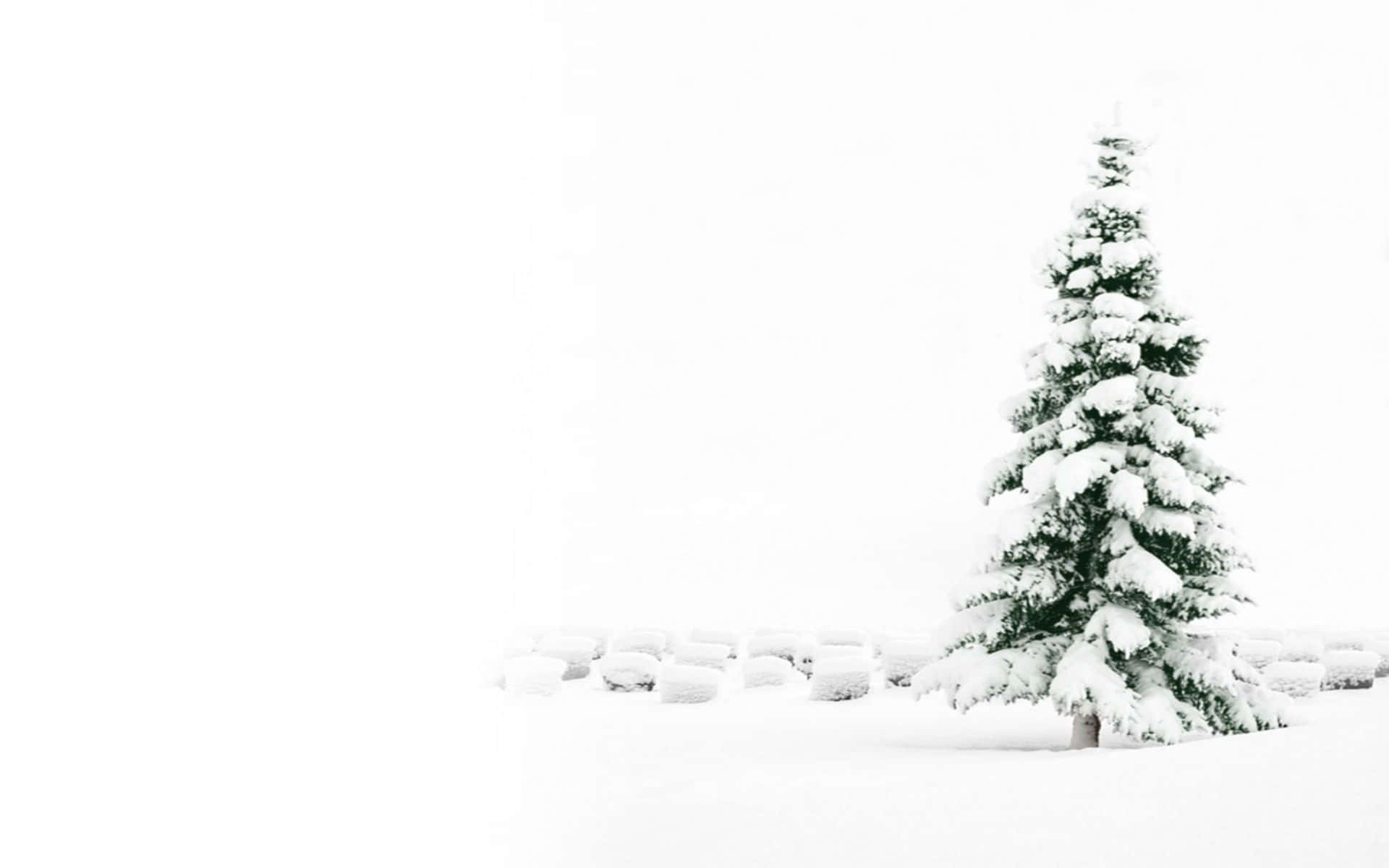 White Christmas Wallpaper
