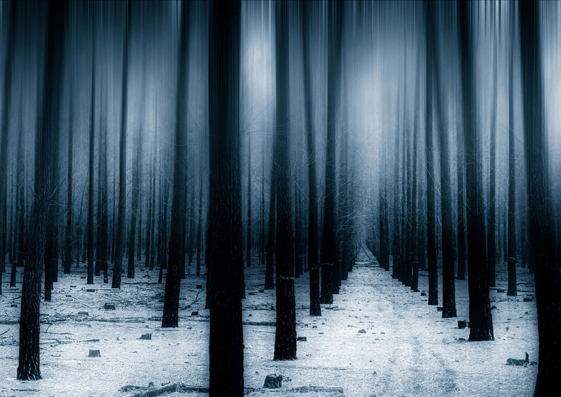 Download Dark Forest Background