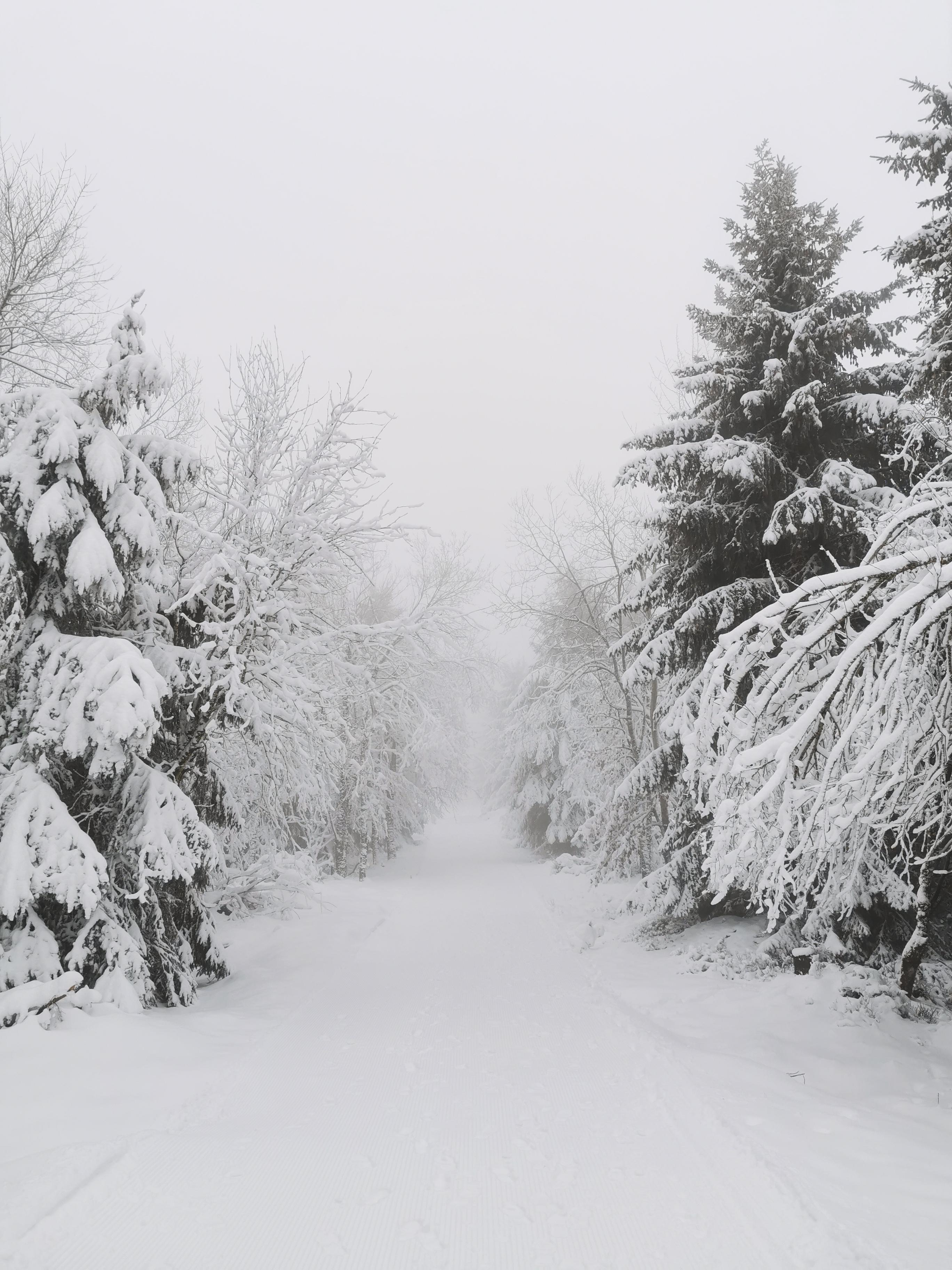 Still a lot of snow here, greetings from the Black Forest, Germany!
