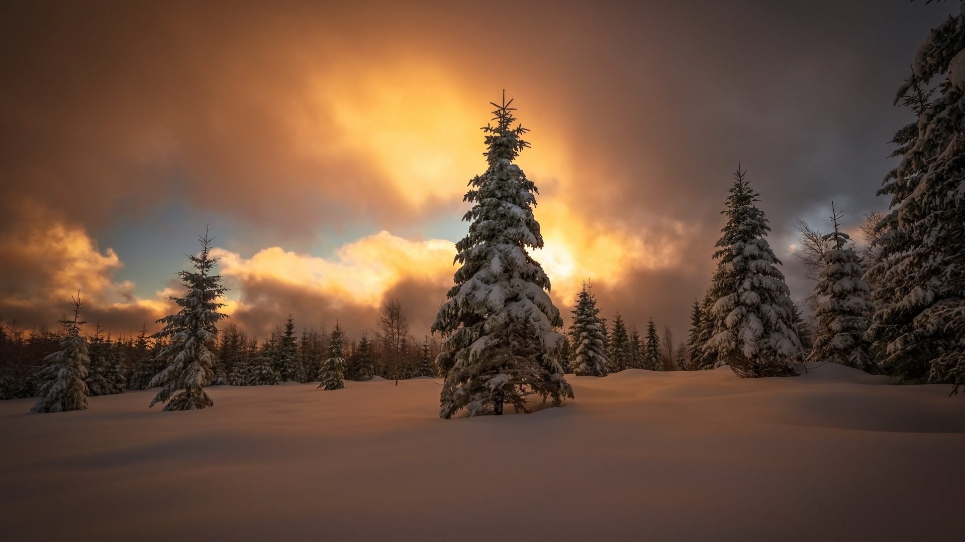 Download wallpaper 1920x1080 sunset, snowy day, trees, winter, full hd, hdtv, fhd, 1080p wallpaper, 1920x1080 HD background, 2533